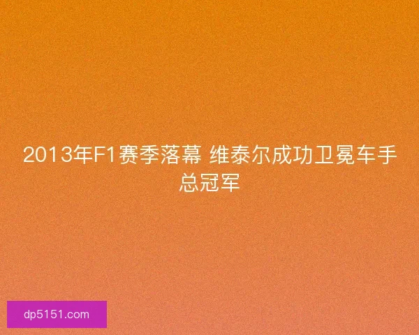 2013年F1赛季落幕 维泰尔成功卫冕车手总冠军